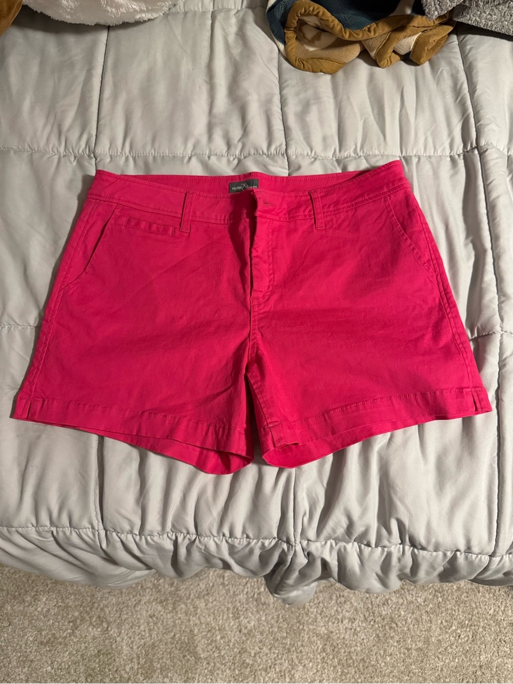 Market & Spruce Hot Pink Women's Bermuda Shorts
